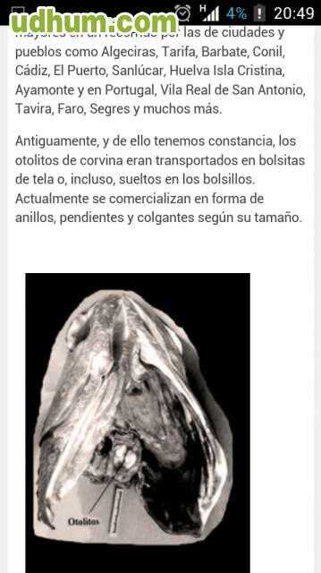HUESOS U OTOLITOS DE CORVINA HUESOS U OTOLITOS DE CORVINA